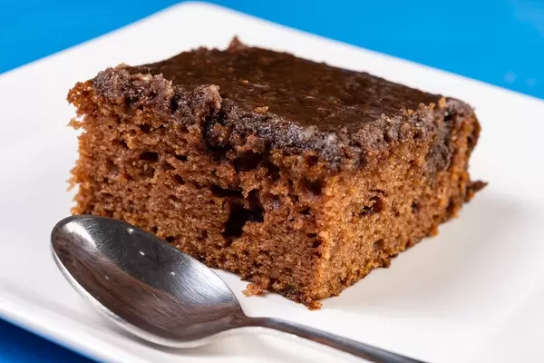 Slice of Chocolate Cake on the plate