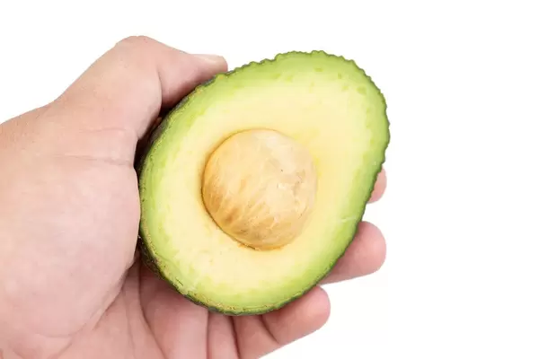 Sliced Avocado in the hand