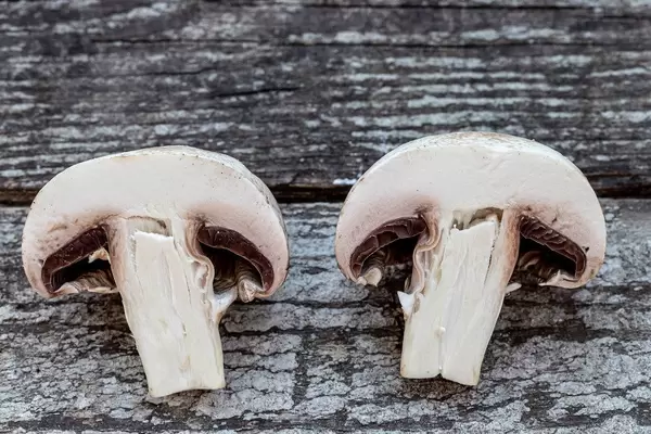Sliced champignon on old grey wooden background (Flip 2019)