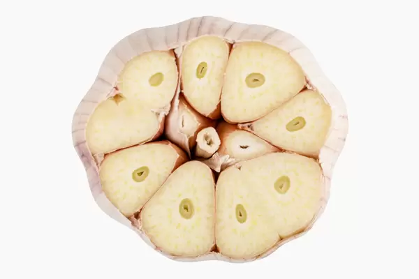 Sliced garlic head, top view