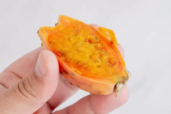 Sliced Indian Fig in the hand