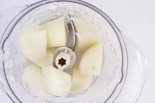 Sliced Onion in the plastic blender mixer (Flip 2019)