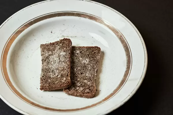 Slices of moldy bread