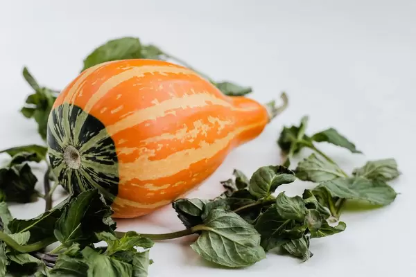 Small decorative pumpkin