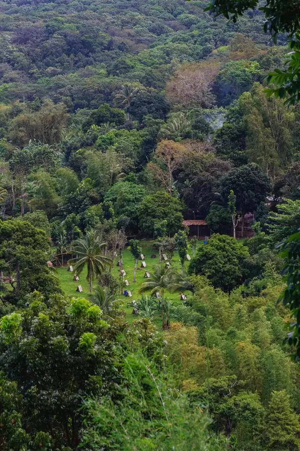 Small farm for fighting cocks in Don Salvador (Flip 2019)