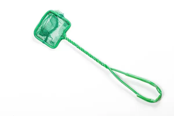 Small green aquarium net on white background (Flip 2019)