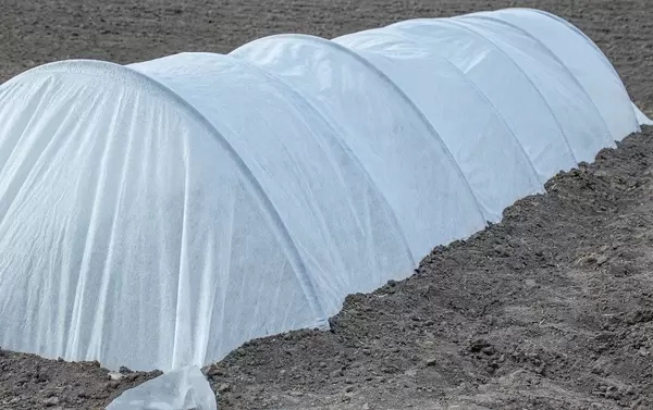 Small hothouse amongst black soil in the garden