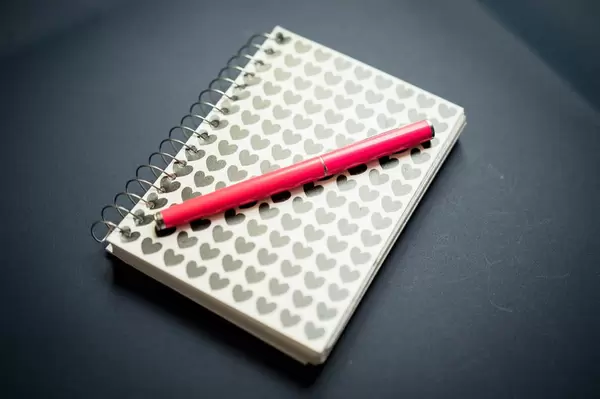 Small notebook with pink pen on top