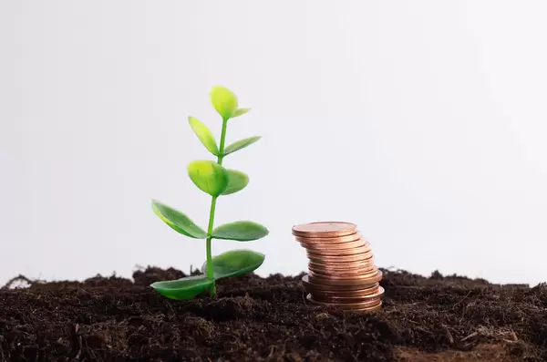 Small plant with coin stack on dirt