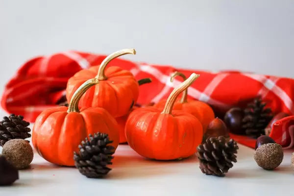 Small Pumpkins with Chestnut