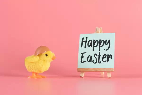 Small yellow chicken with Happy Easter text on pink bakcgound
