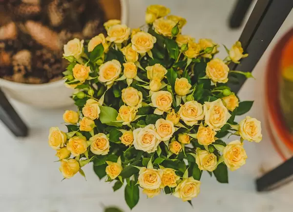 Small Yellow Roses (Flip 2019)
