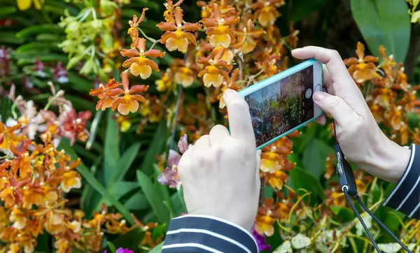 Smartphone-Fotografie