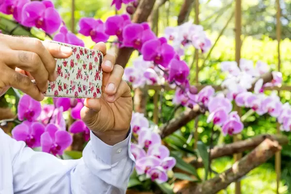 Smartphone Photo of Flowers