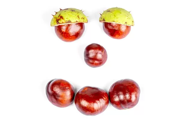 Smiling face made from chestnuts on white, top view