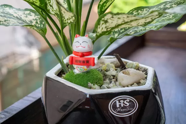 Smiling Lucky Cat Decoration in a Plant Pot with Pebbles and Stones on a Wooden Balcony Table
