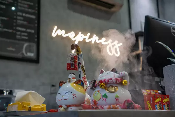 Smiling Lucky Cat with Tissues, Uno Playing Cards and Humidifier on a Cashdesk at a Cafe