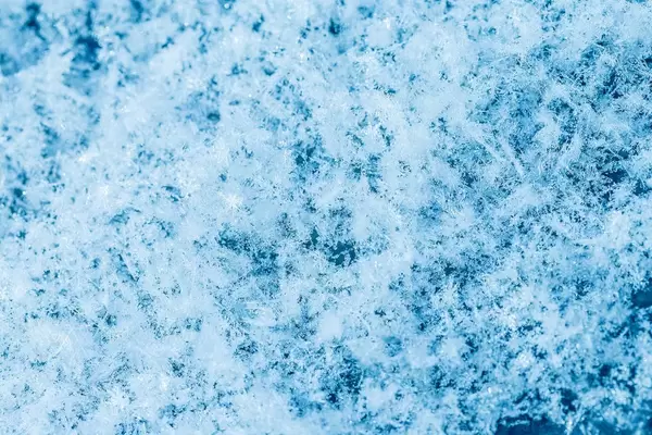 Snowflakes close up  Flip 2019