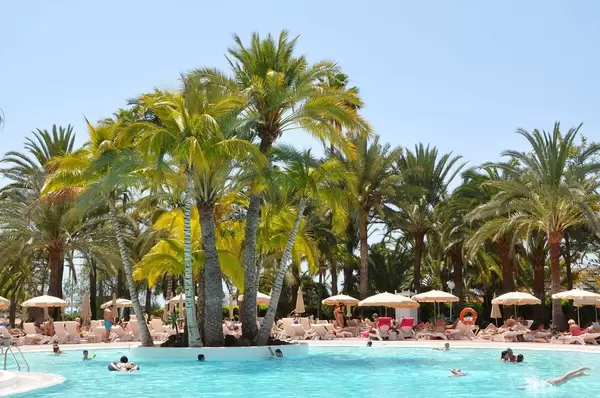 So sieht Garten Eden aus: Sonne, Schwimmbad und Palmen