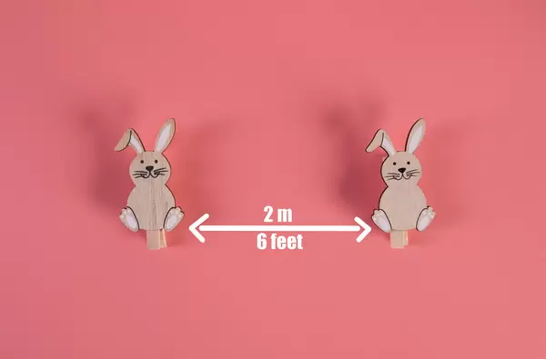 Social distancing concept with cute Easter bunnies