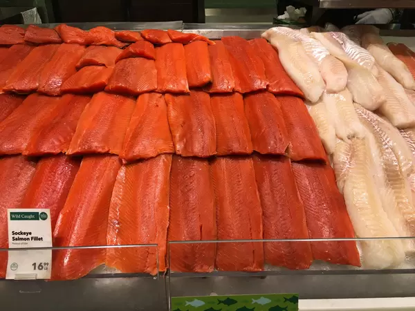 Sockeye Salmon Filet