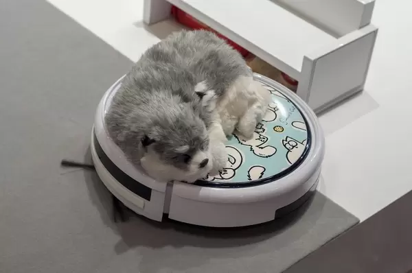 Soft toy dog on a robot vacuum cleaner with Simon's Cat cartoon