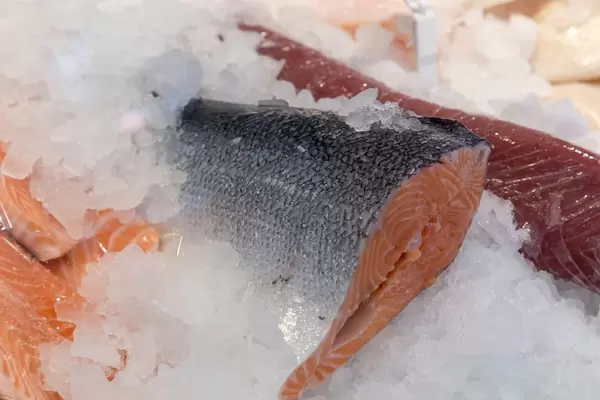 Solomon and other fish in a shop at Naschmarkt in Vienna