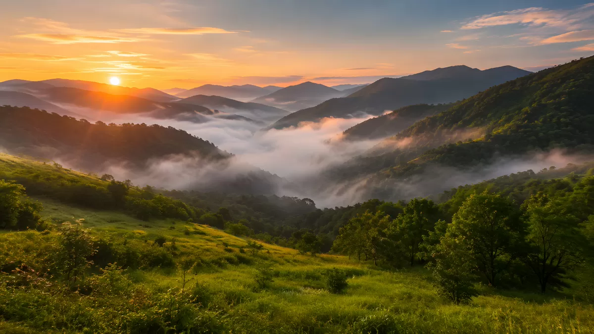 Sonnenaufgang über nebelgefülltem Bergtal im Sommer