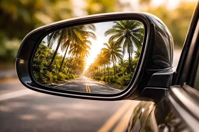 Sonnenuntergang auf der Palmenallee im Rückspiegel