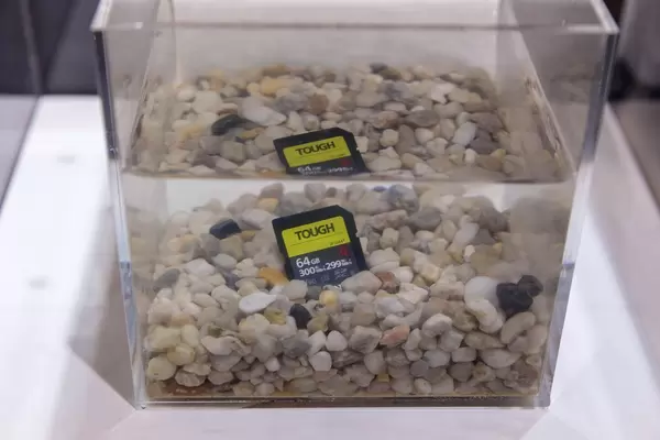 Sony Tough SD Speicherkarte unter Wasser in einem Aquarium