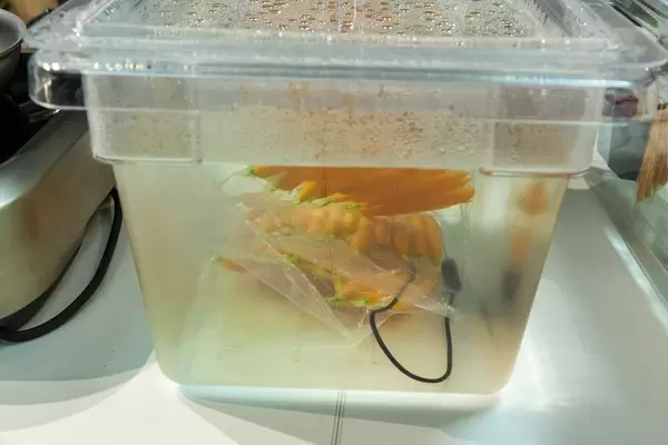 Sous-vides Kochzubehör: Sage PolyScience misst die Wasserbad-Temperatur im Polycarbonat-Behälter