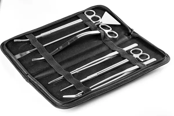 Special tools for the care of algae, plants and aquarium