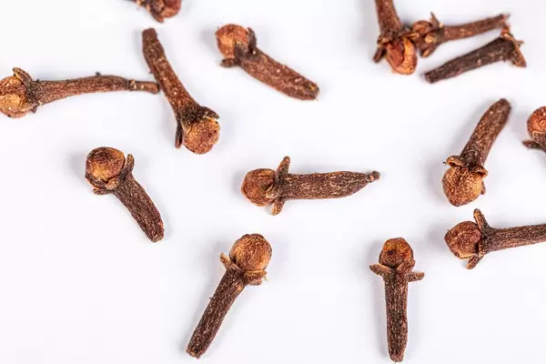 Spice cloves on white background