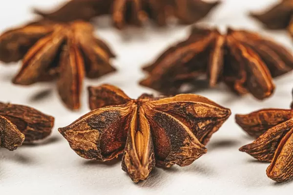 Spices of star anise close up