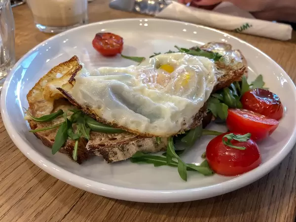 Spiegelei- Omelett auf rustikalem Brot mit Rucola und Tomaten auf weißem Teller in Nahaufnahme