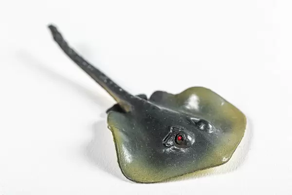 Spielzeug Seestachelrochen auf weißem Hintergrund