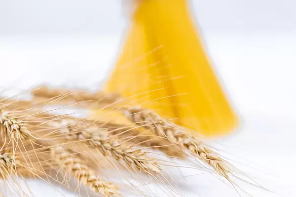 Spikelets of wheat and spaghetti