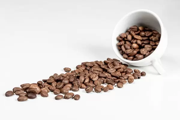 Spilled coffee beans from the white ceramic cup on white background