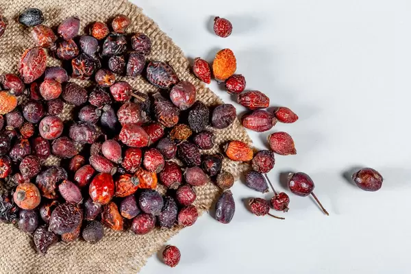Spilled red dry rose hips