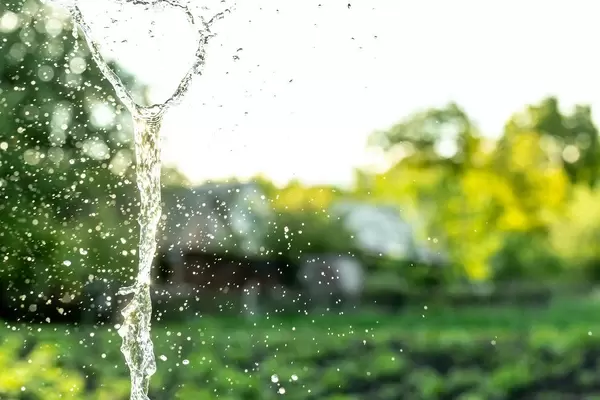Splash of clear water on a blurred background of nature