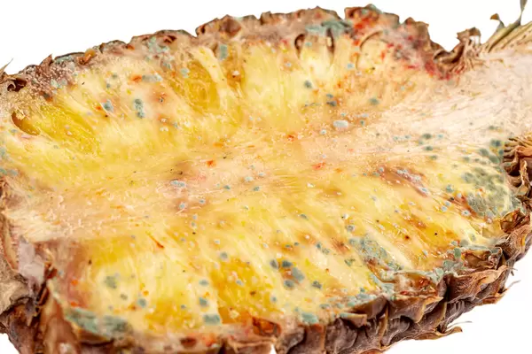 Spoiled pineapple with mold on the surface of the fruit