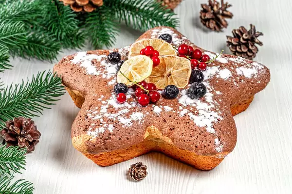 Sponge cake with red currants, blueberries and dried citrus pieces with Christmas tree branches and cones (Flip 2019)