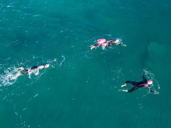 Sportler (Triathlon) beim Schwimmen - Ca'n Picafort, Mallorca