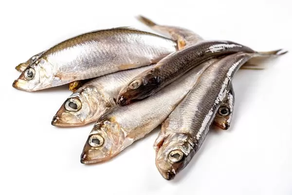 Sprat spicy salting on a white background