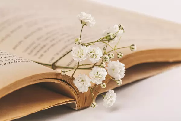 Sprig with white flowers on the pages of an old book