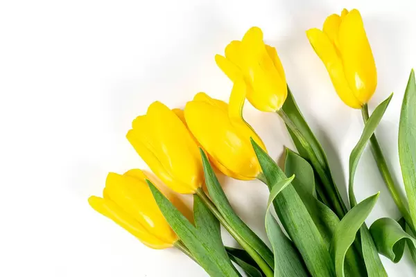 Spring-bouquet-of-yellow-tulips-Happy-Mother's-Day-Happy-Easter-or-Happy-Birthday.jpg