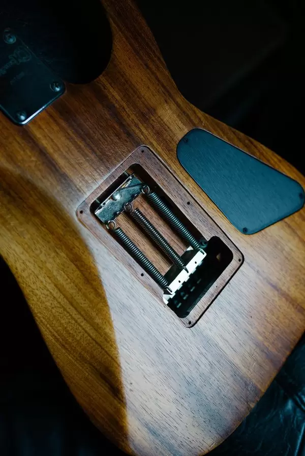 Springs in an electric guitar  Flip 2019