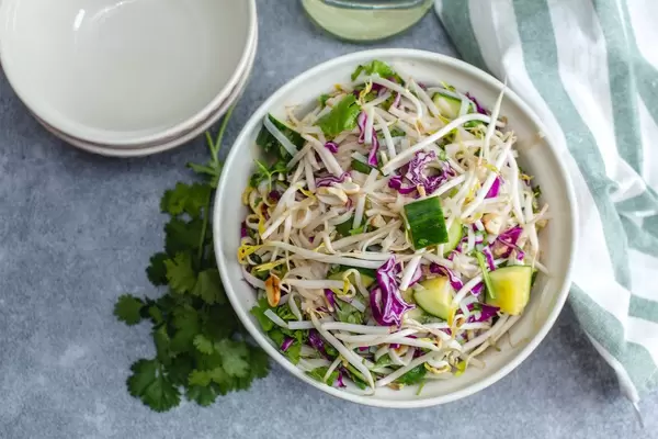 Sprout Asian Salad with Cucumber and fresh herb  (Flip 2019)