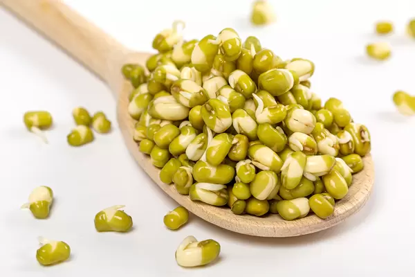 Sprouted mung beans in wooden spoon