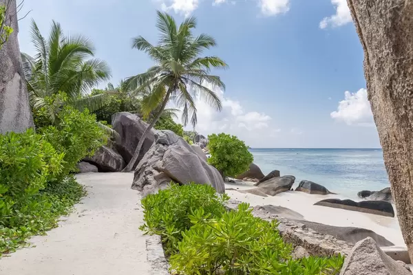 Steinbrocken am Strand Anse Source d'Argent von La Digue (Seychellen) mit Palmen vor blauem Himmel und Blick auf den Indischen Ozean